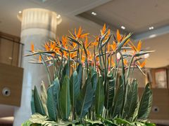 -杭州君悦酒店·青莳