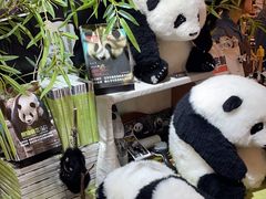 -轩客会(熊猫书店)