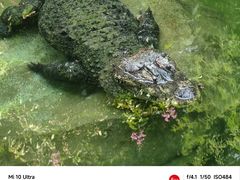 -深圳野生动物园