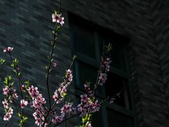 -宝钢特钢有限公司