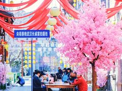 -武汉园博园(武汉自然博物馆)
