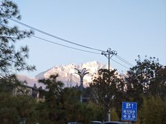 -菌之家·专业纯野生菌火锅·特色炒菌