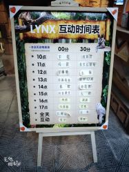-未来动物城动物主题公园(大悦城店)