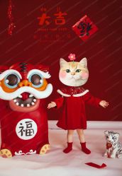 -iplus爱家高端孕妇摄影