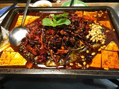 -探鱼·鲜青椒爽麻烤鱼(广州花都来又来店)