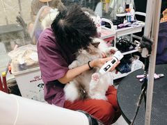 -安琪娜动物医院•健康管理•骨科•急重症诊疗中心