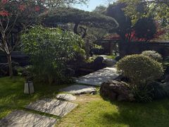 -新荣记(西溪湿地店)