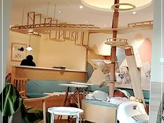-滚猫咖啡·猫咖·猫友好撸猫(未来城店)