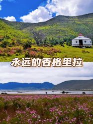 -纳帕海依拉草原