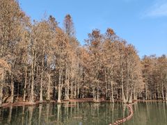 -尚湖风景区