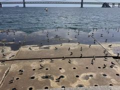 -星海广场