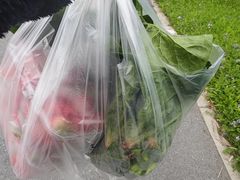 -前小桔亲子创意农场·草莓采摘·露营烧烤