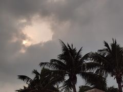 -深圳湾公园(南山区)