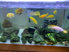 -Rabbit Cafe私房西餐甜点咖啡(栖霞路店)