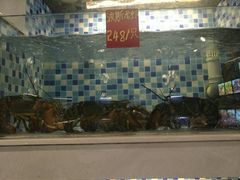 -船奇蒸汽海鲜·闽菜(八市海鲜总店)