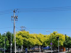 -牛栏山市场