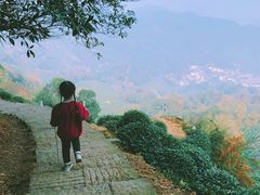 -西湖风景区十里琅珰-五云山