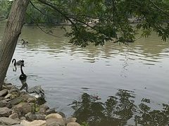 -野生动物园-停车场