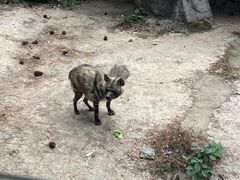 -南昌动物园