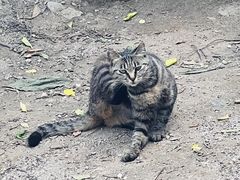 -北京凤凰岭