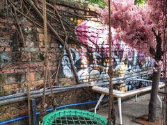 -柴犬高等学院·狗咖·柴犬售卖·宠物训练