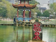 -靖西鹅泉风景区