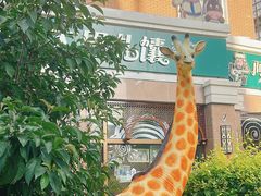 -新疆国际大巴扎