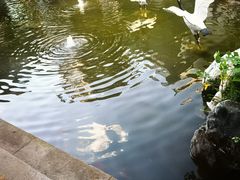 -广富林宰相府酒店·水云间