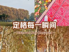 -河南省黄河迎宾馆