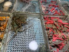 皮皮虾-霞涌市场海鲜摆卖区