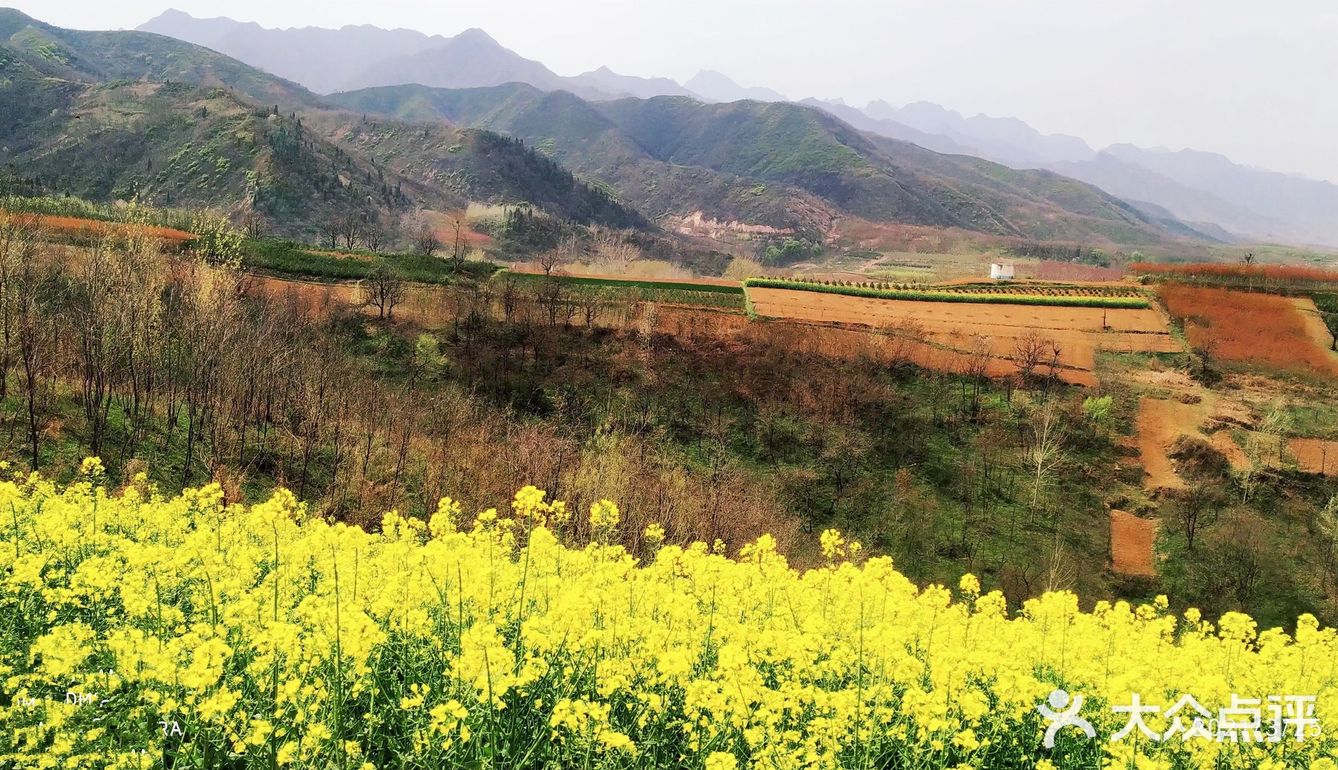 红土地vs油菜花｜秦岭普罗旺斯｜鲍旗寨