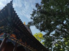 -护国法轮寺
