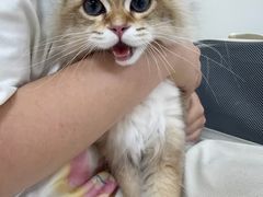 -美联众合动物医院·24h京西诊疗中心