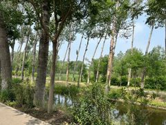 -东郊湿地公园