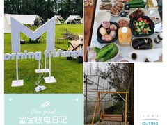 -前小桔亲子创意农场·草莓采摘·露营烧烤