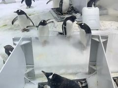 -杭州长乔极地海洋公园