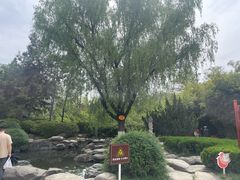 -西安青龙寺遗址景区