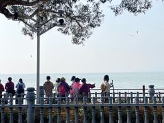 -滇池海埂公园