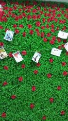 -母仪天下月子中心(光谷店)