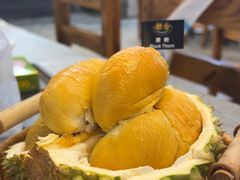 -都念榴莲·城市榴莲