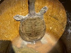 -旺山·浪头人家