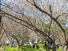 -广州市流溪河国家森林公园