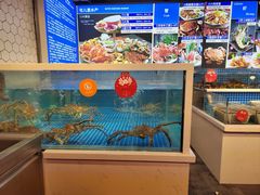 -日进一片海.生腌海鲜火锅.宵夜烧烤(三里屯总店)