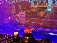 -王家渡火锅(金宝汇店)