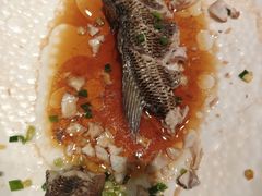 -佳兰雅序融合菜(高新店)