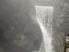 -牛背梁国家森林公园