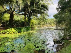 -中国科学院西双版纳热带植物园