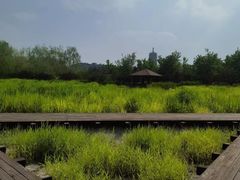 -永定河休闲森林公园