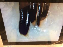 -BULB STUDIO 巴柏明星发型工作室