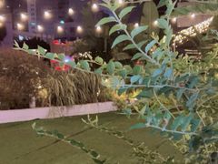 -CIAO·团建聚餐·生日派对轰趴馆(福田店)